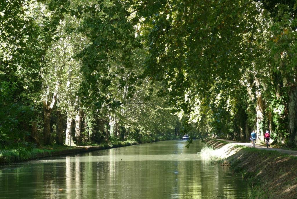 canal red